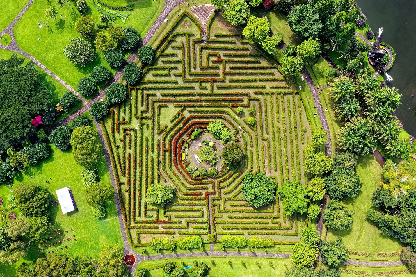 ai maze