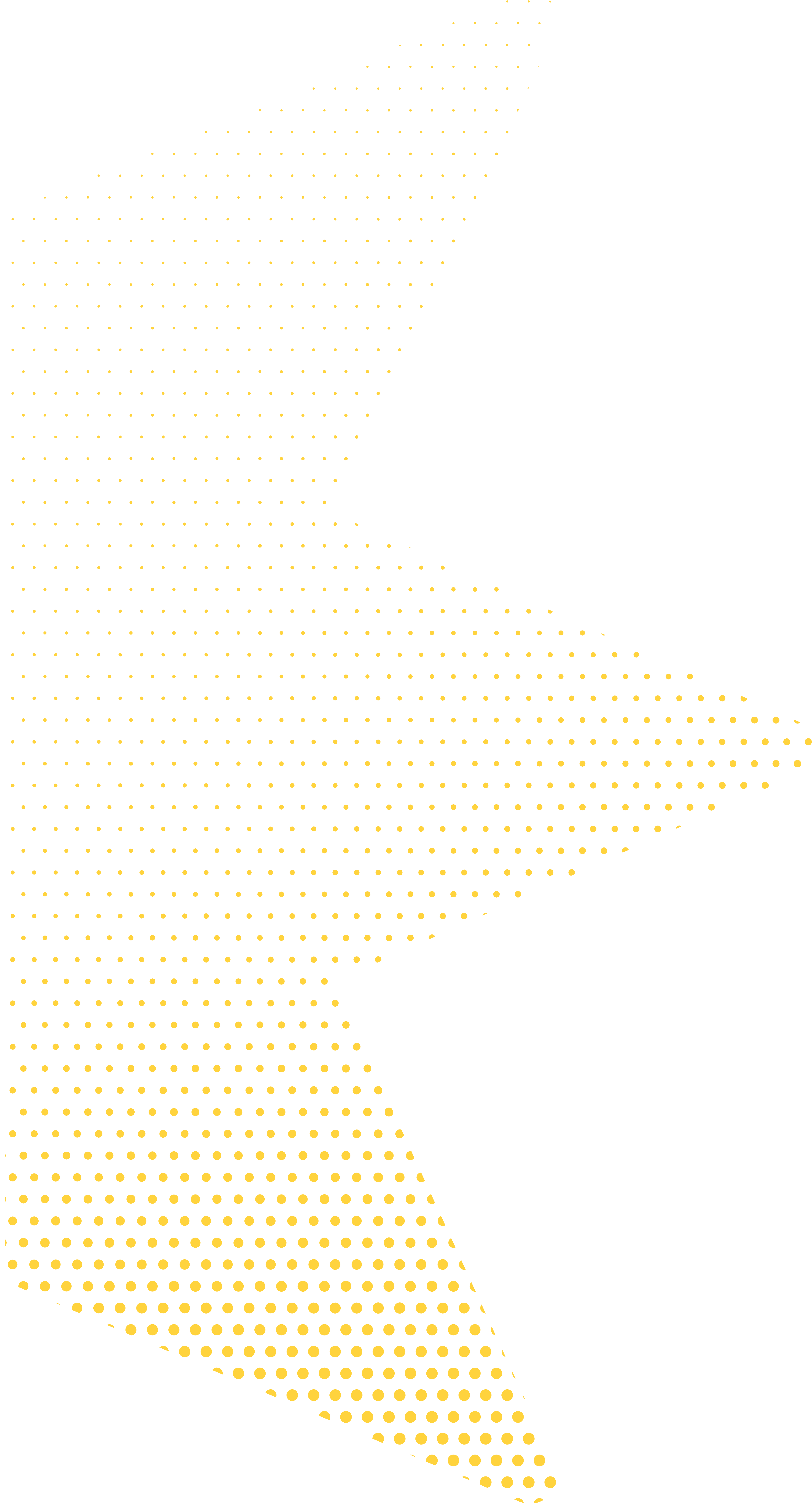 Kingstar_Star Halftone_Left_Yellow